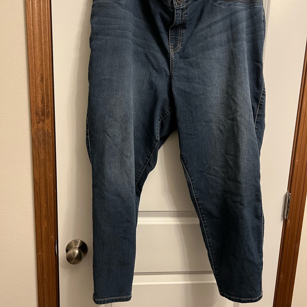 Torrid Jeggings - size 26